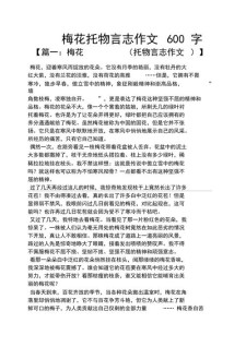 有关梅花的中考作文作文