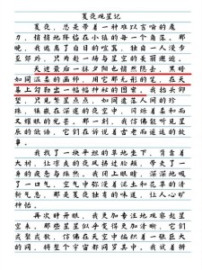 一个美丽的作文大全夏夜作文700字