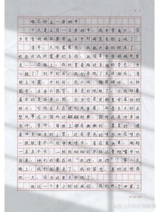 令我难忘的大学作劳动节作文200字二年级