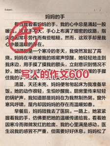写人的作文素材作文600字左右初中