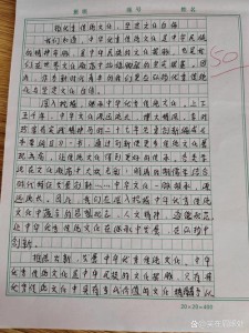 关于中国传统文化作小升初作文