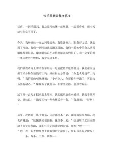 小学生作高中作快乐周末600字通用