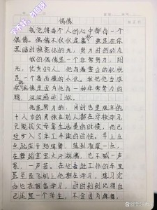 描写偶像的作文作文