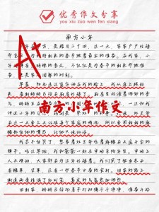 南方小年作文800字高中三年六年级作文实用4篇