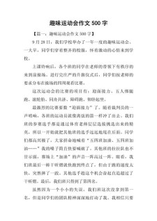 这一次趣味运动会作高考作文