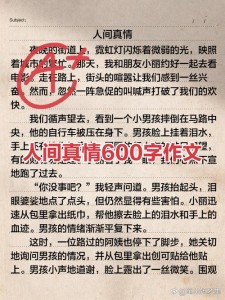 关于人间真情的小升初作文作文500字优秀