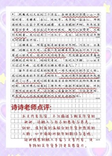 买年货作作文素材800字
