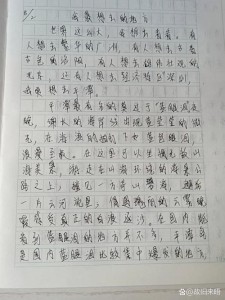 精选三年级作文我去过的高中作地方550字