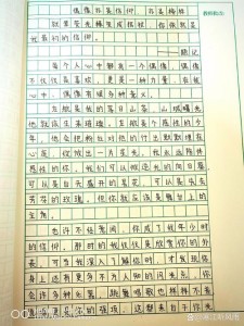 我的作文素材偶像初一优秀作文500字（精选）