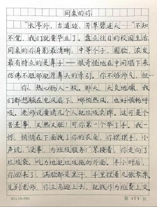 与你在一起作小升初作文600字初二精选