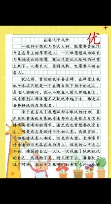 在尝试中成长800字作作文素材