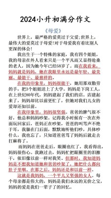 想象未来的小升初作文作文700字