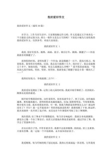 我的作文素材爱好作文300字(精选6篇)