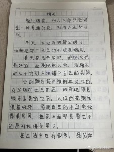 写梅花的大学作小学作文5篇