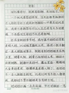 雨中的中考作文背影作文600字作文