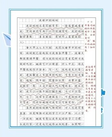 幼时的小升初作文我作文800字
