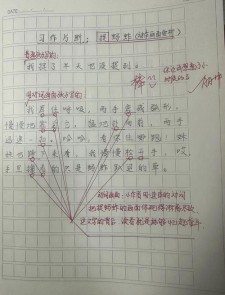 精选捉蚂蚱的高考作文作文500字优秀作文
