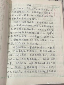 关于蜜蜂的作文素材作文300字三年级