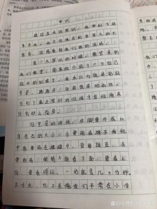 高一军训时光作作文素材600字