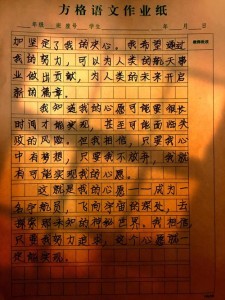 心愿作大学作600字初三当作家