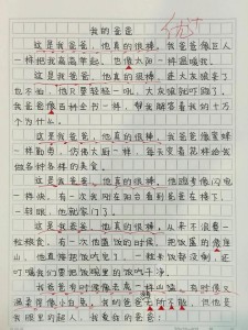 我的初中作爸爸作文300字三年级（个人通用）