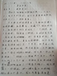 我和熊大熊二过一天作优秀作文600字初三