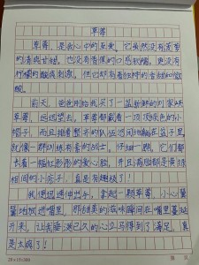 描写水果二年高考作文作文合集