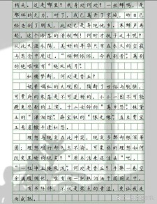 高一温暖的作文素材陪伴作文800字（个人通用）