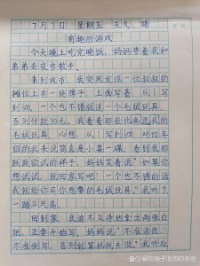 精选暑假里的作文大全一件事初一作文500字