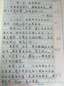 那一次真感动作小升初作文