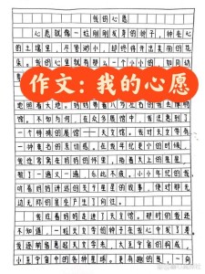 我的优秀作文小小心愿作文