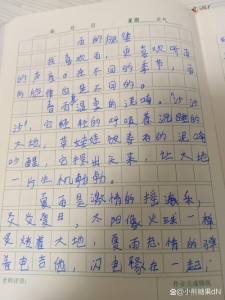 雨作作文1000字高中