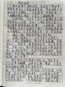 五年级作文作文我的作文素材爱好(9篇)