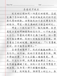 在尝试中成长作大学作900字