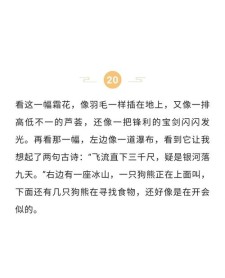 霜小学作大学作精选5篇