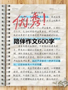 陪伴作大学作600字初一