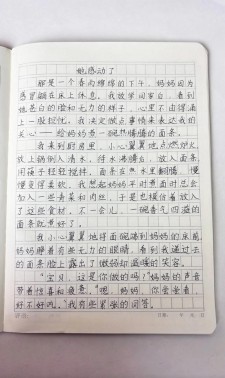 他感动了作文500字左右五年看图作文（合集8篇）