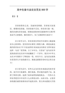 高中生奋斗作小升初作文