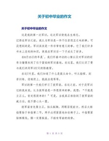 初中关于毕业的高中作作文600字