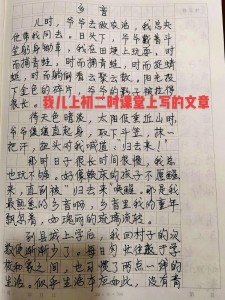 初中生思念故乡的初中作优秀作文（优秀6篇）