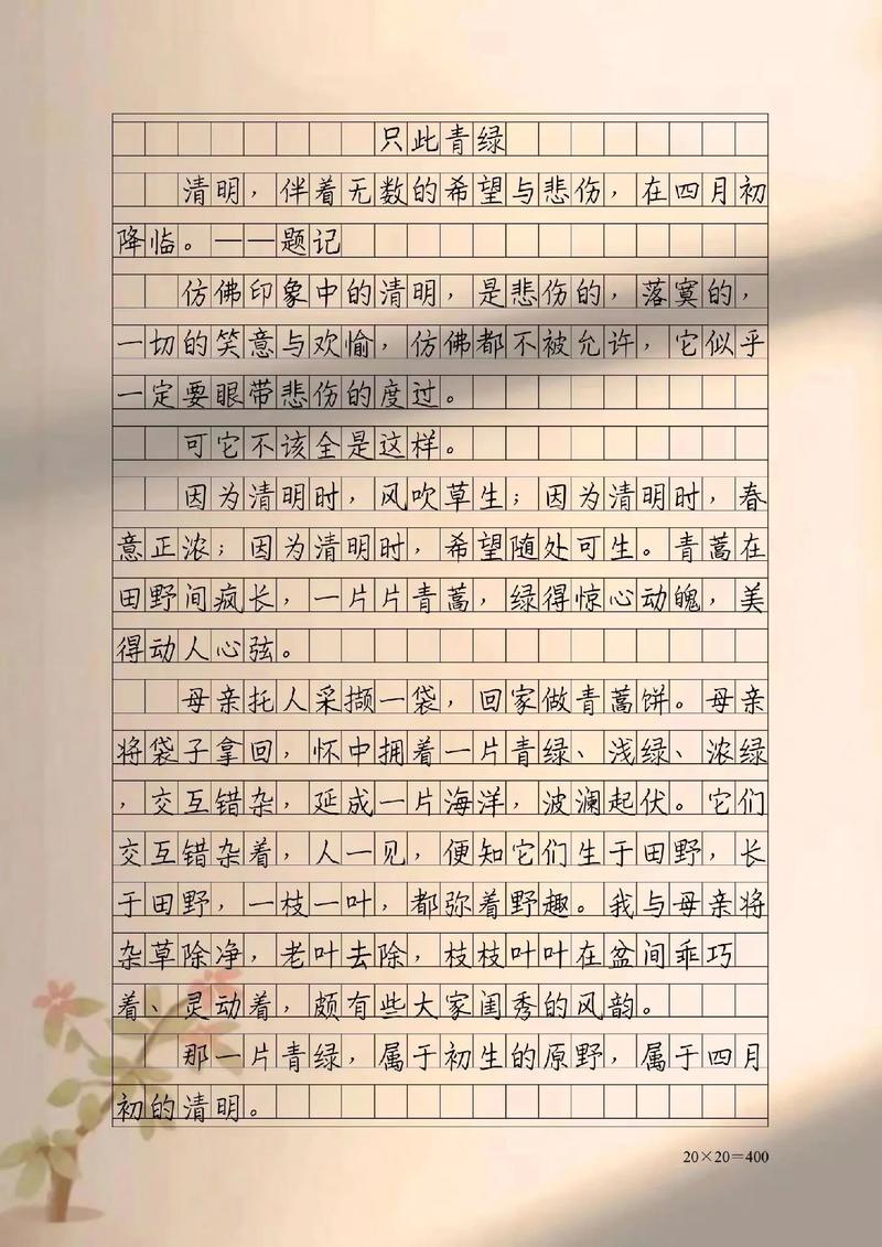2022清明节防火作高中作400字左右