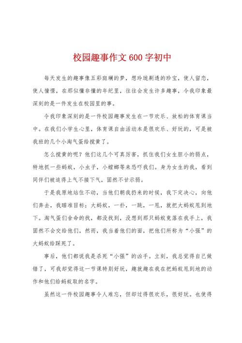 一件有趣的六年级作文事作文600字初中
