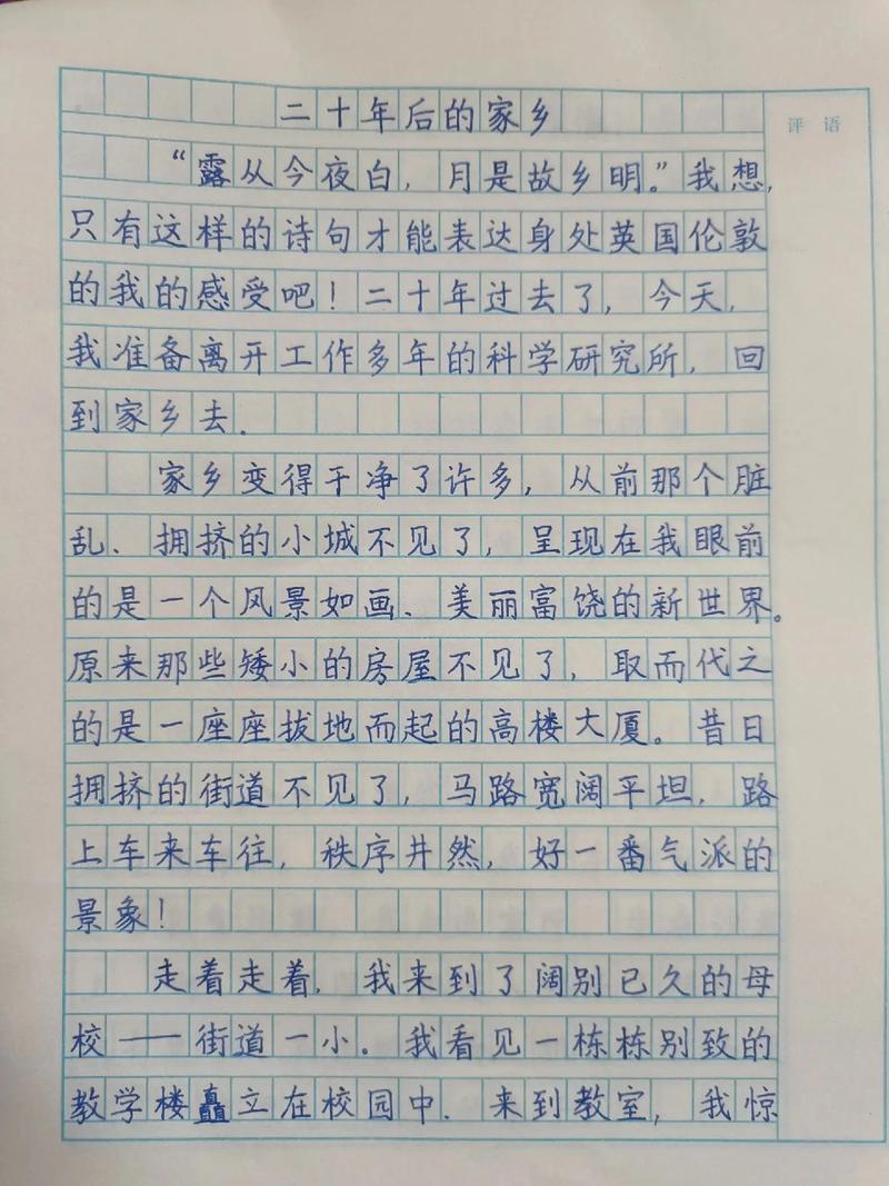 五年级作文二十年后的作文网家乡450字优秀