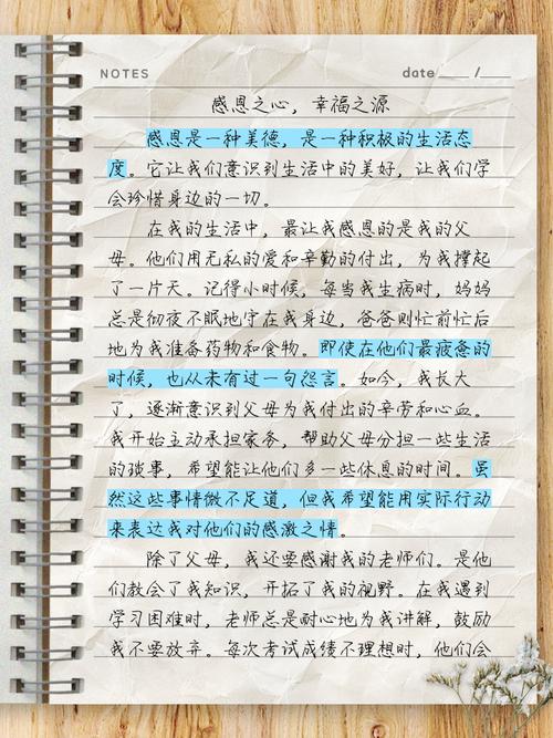 以感恩为话题的初中作作文800
