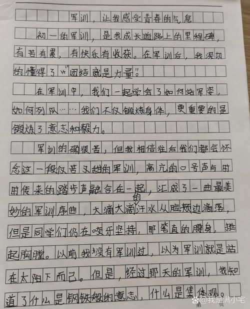 军训作大学作400字初一