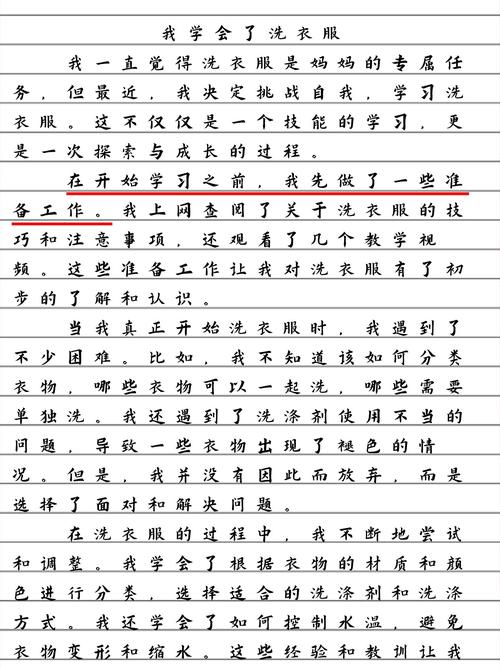 初一我学会了洗衣服作作文大全