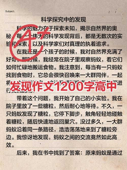 2023我的高中作发现小学生作文精选13篇