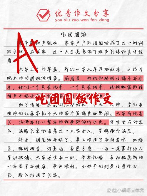 [精品]吃年夜饭的作文网小学作文集锦4篇