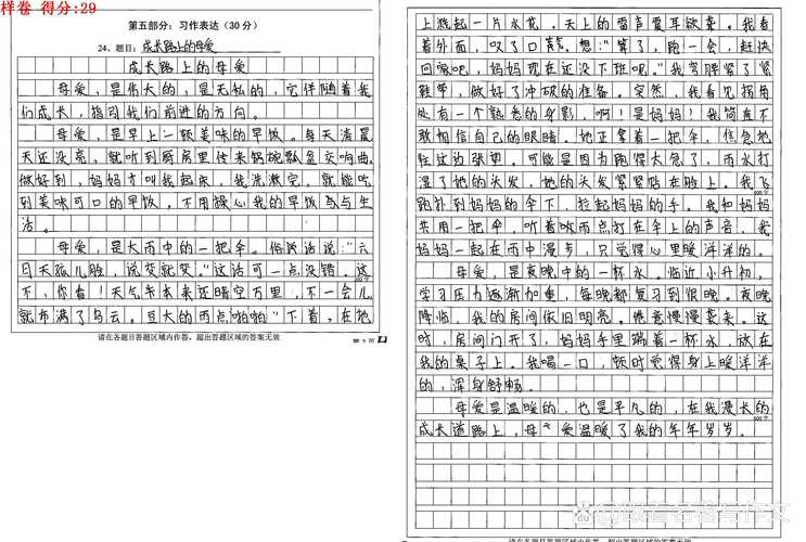 不该舍弃的小升初作文微光