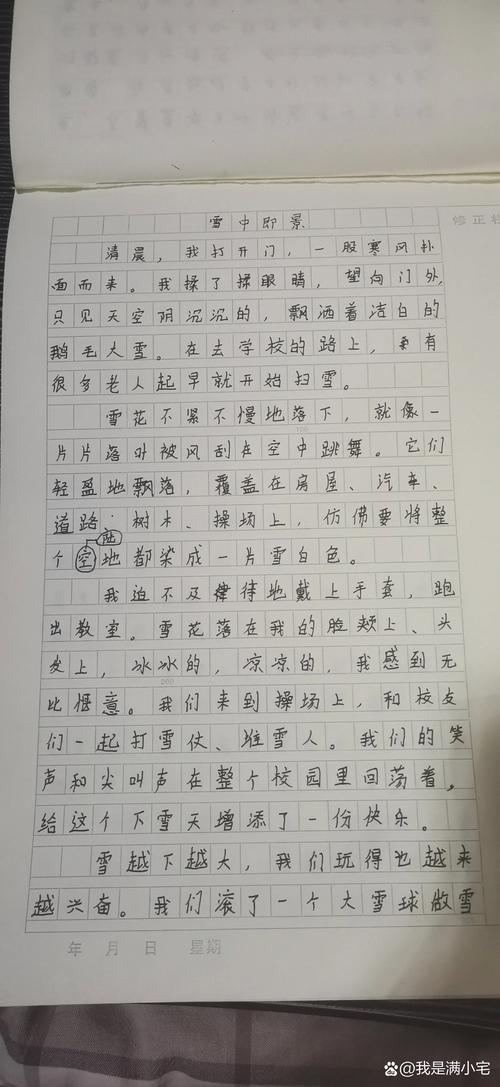 入春的作文素材第一场雪作文500字五年级(经典)
